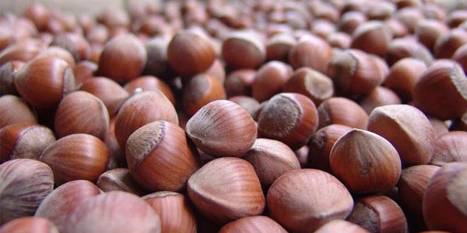 Fındıkla ilgili açıklamalar üreticileri sevindirdi