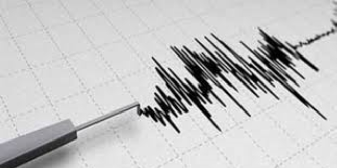 Muğla'da 3.9 büyüklüğünde deprem
