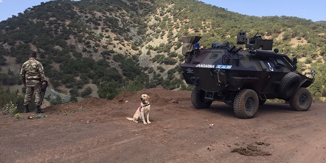 Adıyaman'da terör örgütüne yönelik operasyon sürüyor