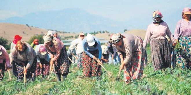 Milyonlarca kişiye 'sosyal' koruma