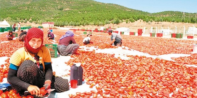 Seferberlik meyvesini tarla ve inşaatta verdi
