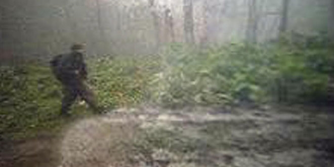PKK'lı teröristler 'fotokapan'a takıldı