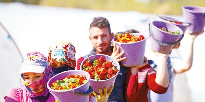 Teşvikler yetmedi köyden kentlere göç devam etti