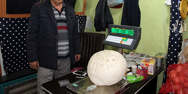 Kızıldağ eteklerinde 4 kilogramlık mantar bulundu