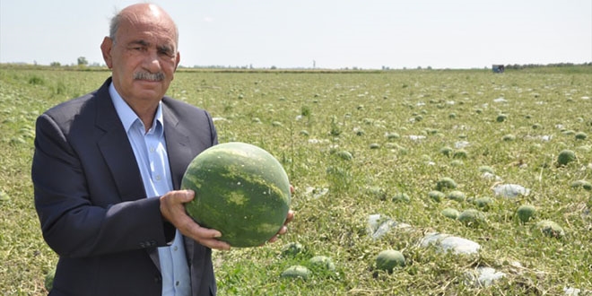 Mersin'de ya ve dolu, ekili araziler zarar verdi