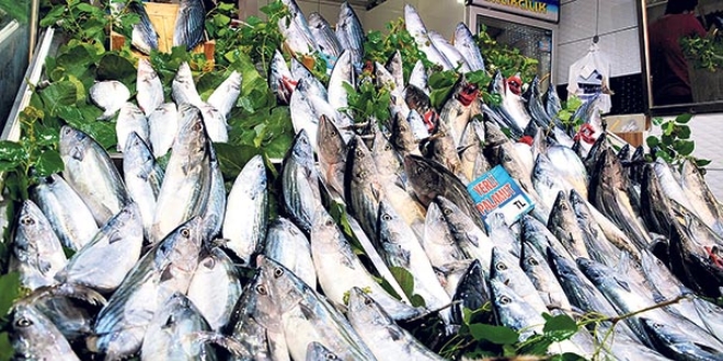 Balık fiyatlarındaki düşüş devam ediyor