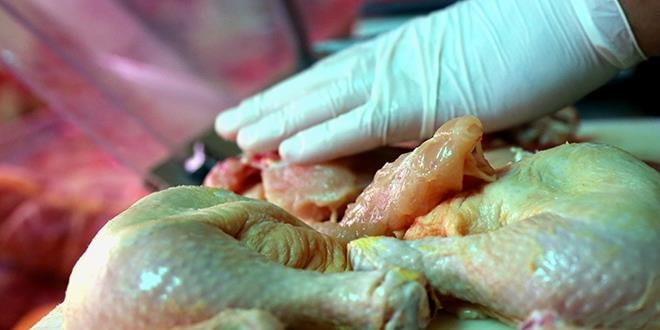 Scak havalarn riskli bakterisi: Salmonella