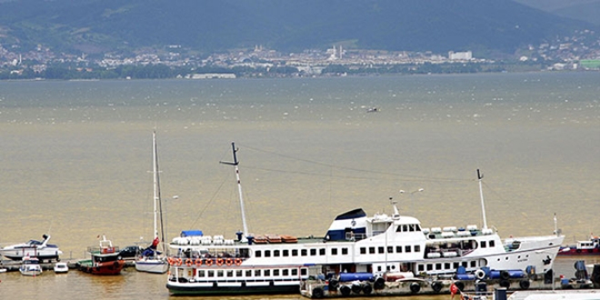 İzmit Körfezi'nde endişelendiren manzara