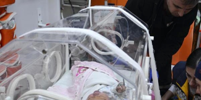 Sokakta bulunan bebek hastanede ld