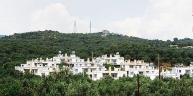 Zeytinliklerde 'yazlıkçı' işgali