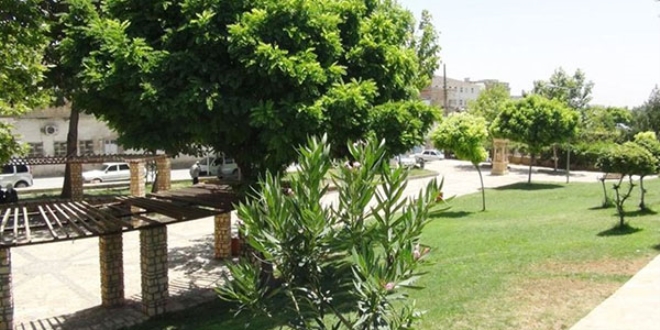 2 günlük bebeği parkta bıraktılar