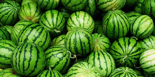 Muhtardan mahalle sakinlerine 7 ton karpuz