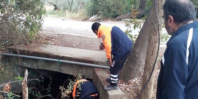 Kayıp olarak aranıyordu, dere yatağında yaralı bulundu