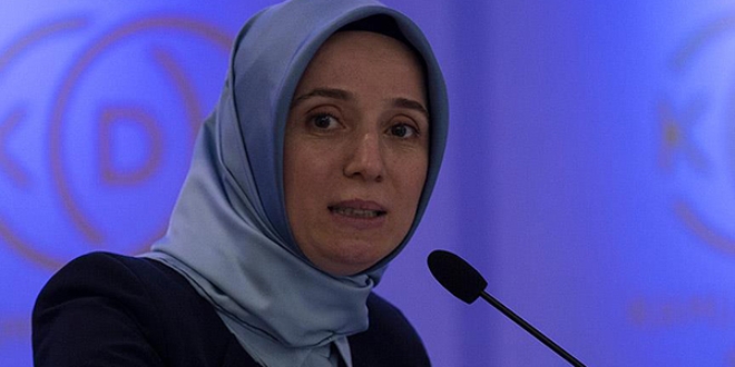 'Suriyelilere karşı paylaşımlar gerçeği yansıtmıyor'