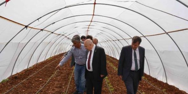 Üniversite bünyesinde organik ürün yetiştiriliyor