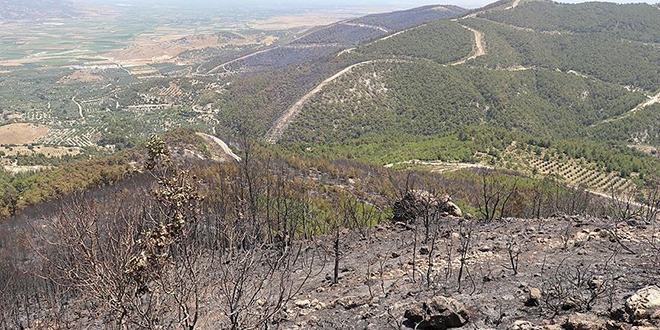 Denizli'deki orman yangını söndürüldü