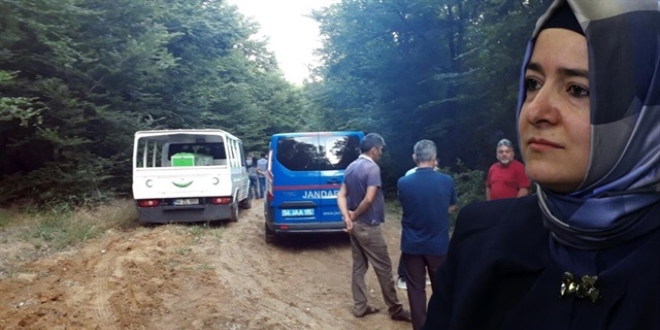 Bakan Kaya: Zalim rejimden farkı yok