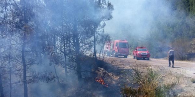 Muğla'da çıkan orman yangınında 2 hektar alan zarar gördü