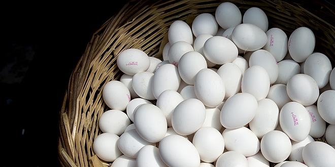 Yumurta fiyatları dip yaptı