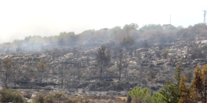 Hatay'daki yangnda 1,5 hektarlk alan zarar grd