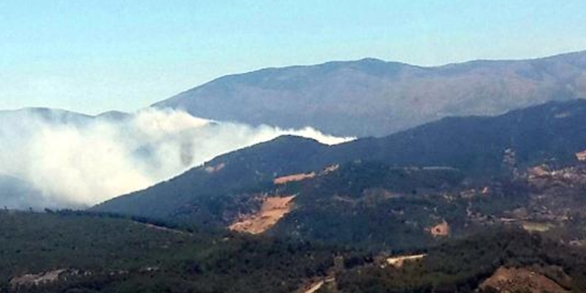 Hatay Amanos Dağları'nda orman yangını çıktı