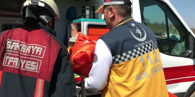 Sakarya'da orman işçisi ölü bulundu