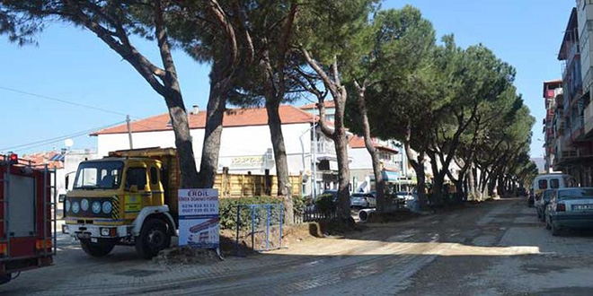 Manisa'da belediyenin ağaçları kestiği iddiası