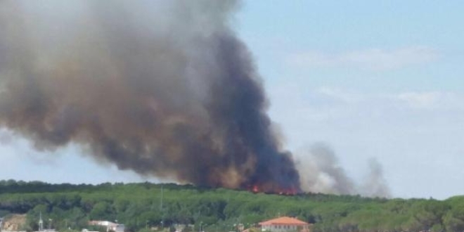 Gelibolu'da yldrm, orman yangnna neden oldu