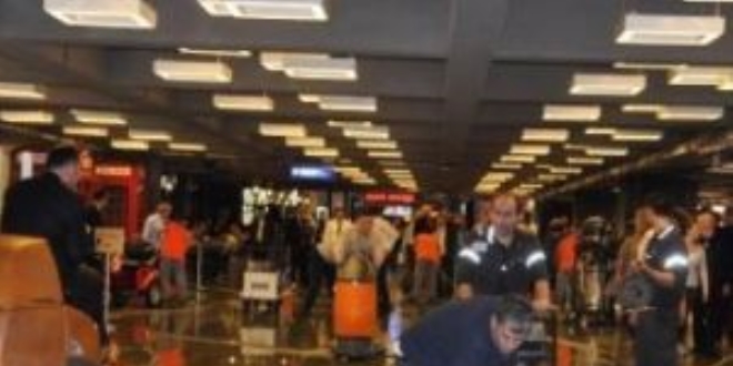 'Atlı karınca' tasarımıyla güneş enerjisinde verimi artırdılar