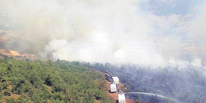 Sinop'taki orman yangnna TOMA'da mdahale ediyor