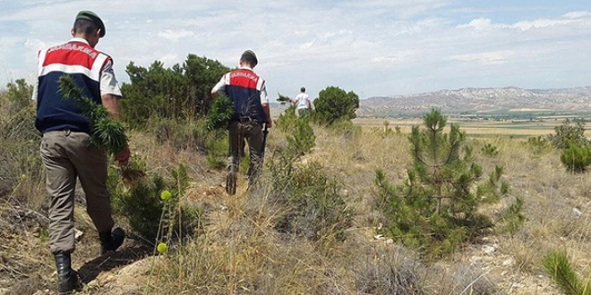 Eskişehir'de 'drone' destekli uyuşturucu operasyonu