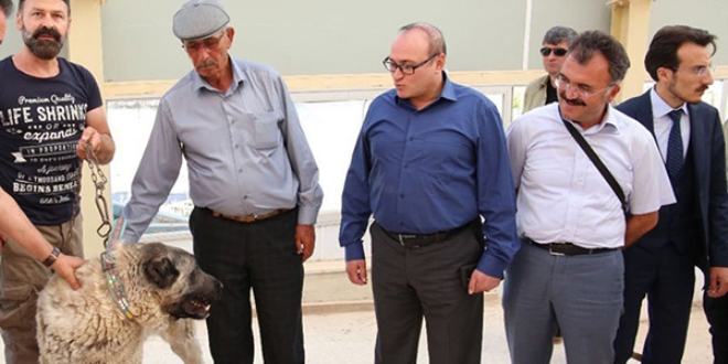 Ömer Halisdemir'in babasına kangal köpeği hediye edildi