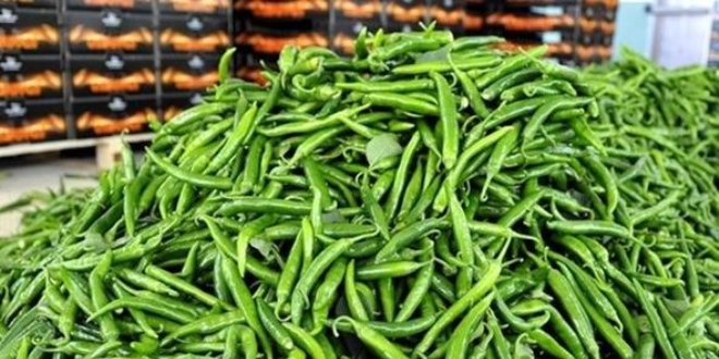 'Zam şampiyonu' sivri biber