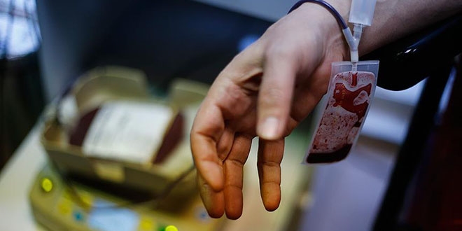 Kök hücre bağışçı sayısı çeyrek milyona yaklaştı