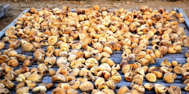 Aydın'daki ilk kuru incir 200 TL'den satıldı