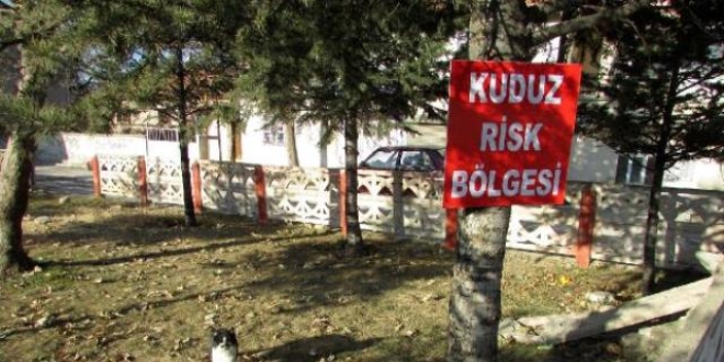 Osmaniye'de 3 ay süreyle kuduz karantinası