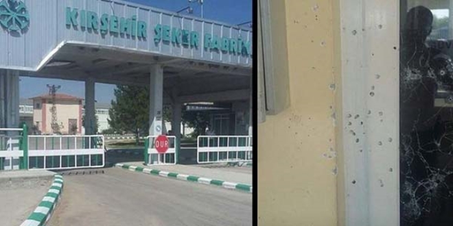 Kırşehir Şeker Fabrikası'na silahlı saldırı