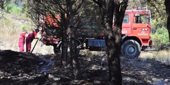 Kars'ta çıkan orman yangınına TOMA da müdahale etti