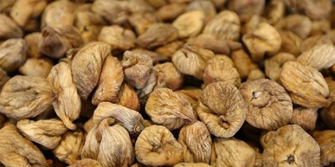 Sezonun ilk kuru inciri 70 liradan satıldı