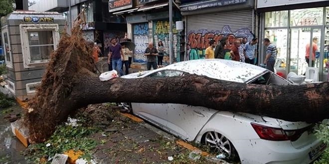 'Trafik sigortasında serbest piyasa şart'