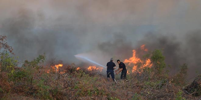 Bodrum'da makilik alanda yangın çıktı