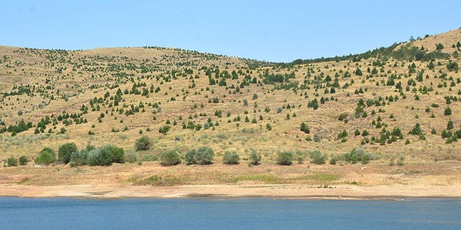 Bozkırın dağlarında 'yeşil vadiler' kuruluyor