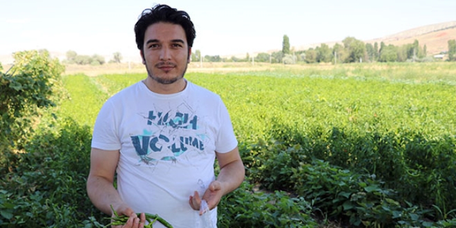 Sebzeyi tezgahtan değil tarladan alıyorlar