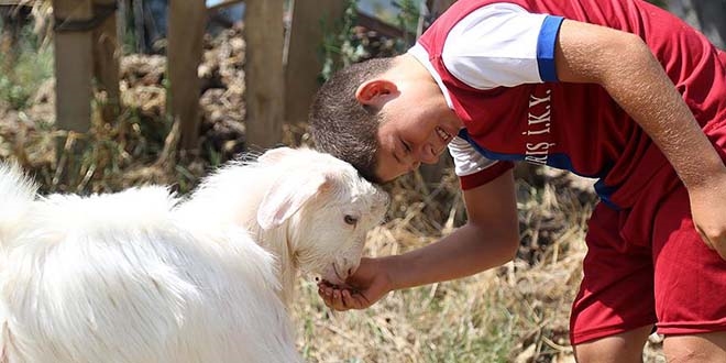 Gkdeniz ile 'Mlayim'in elenceli dostluu