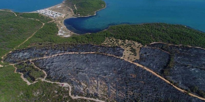 Bakan Erolu'ndan Ayvalk'taki yangn iin aklama