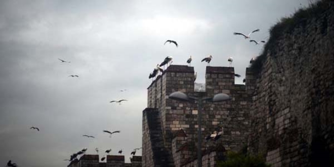 stanbul'a srpriz ziyaretiler! Gren telefona sarld