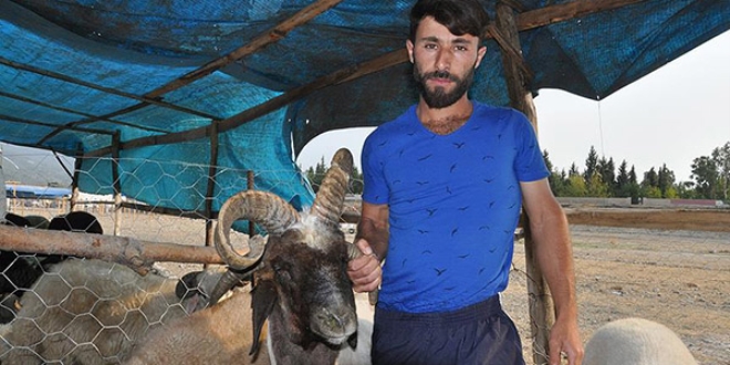 4 boynuzlu kurbanlık görenleri şaşırtıyor