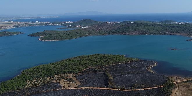 Bakan Eroğlu'ndan sanatçı Haluk Levent'e davet