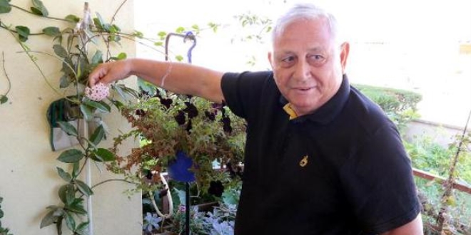 Prof. Dr. Gülen: Bitkiler taşınırsa, hepsi ölür