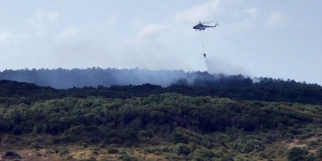 Adana'nın Kozan ilçesinde ormanlık alanda yangın çıktı